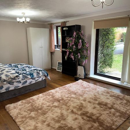 Stunning 2 Bedroom With Garden Sleep 6 London Eksteriør bilde