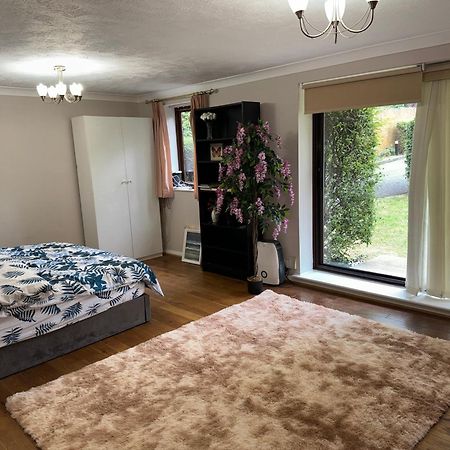 Stunning 2 Bedroom With Garden Sleep 6 London Eksteriør bilde